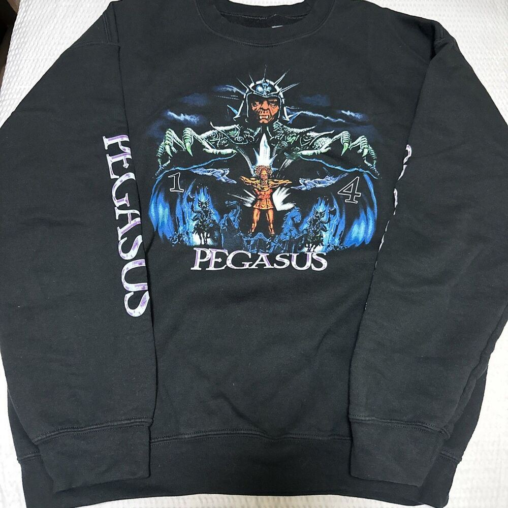 Pegasus 14 Large Black Sweater Men’s